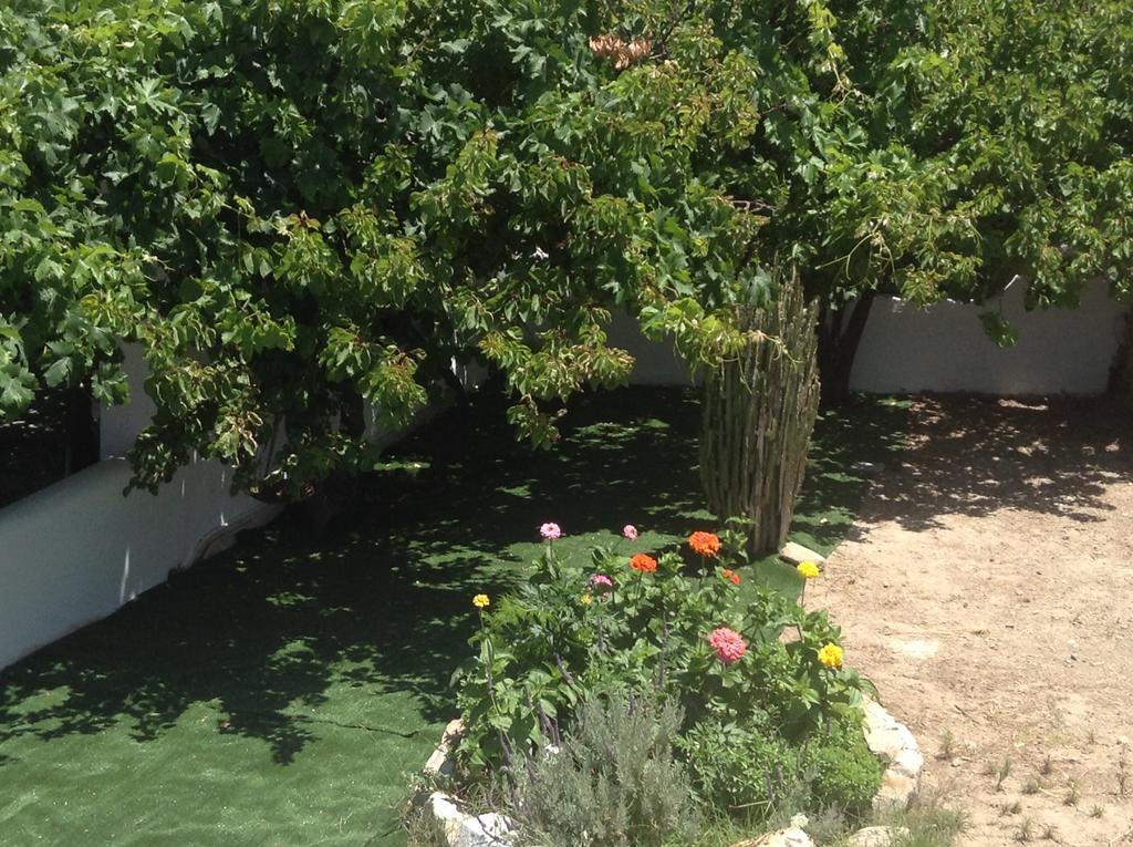 Nikoletta Rooms Páros Dış mekan fotoğraf